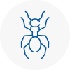 Ant Removals In Adwick Le Street