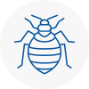 Bed Bug Extermination In Adwick Le Street