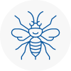 Adwick Le Street Hornet Nest Removals