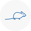 Mice Exterminators In Adwick Le Street