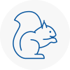 Adwick Le Street Rodent Removals