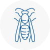 Adwick Le Street Wasp Nest Removal